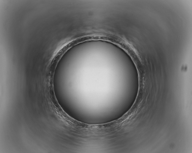 X0000090771352200707201105