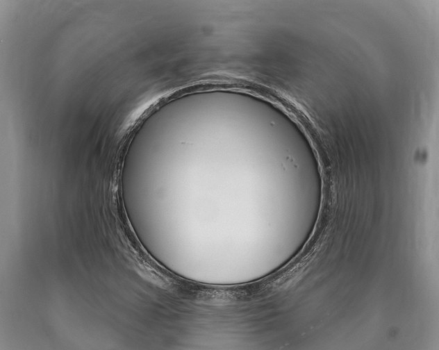 X0000090771355200707201105