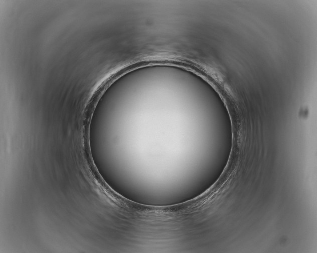 X0000090771356200707201105