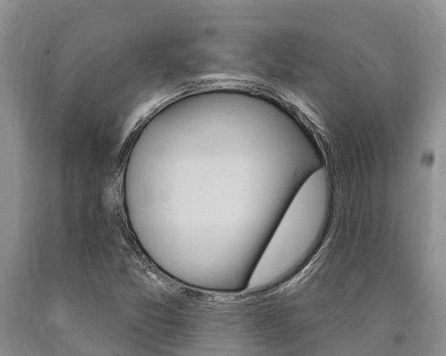X0000090771357200707201105