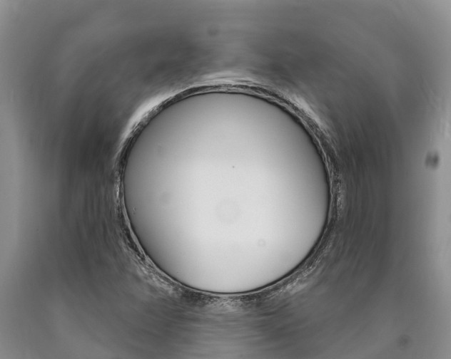 X0000090771358200707201105