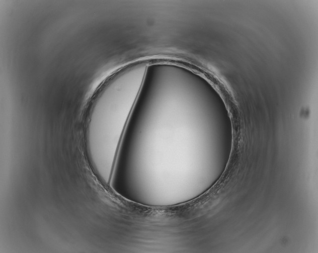 X0000090771360200707201105