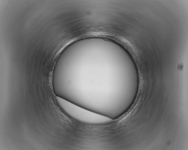 X0000090771361200707201105