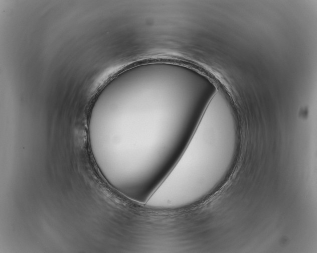 X0000090771363200707201105