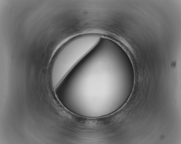X0000090771364200707201105