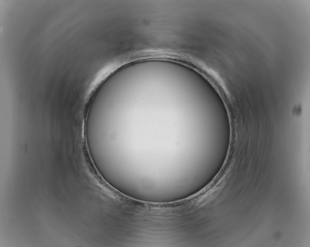 X0000090771365200707201105