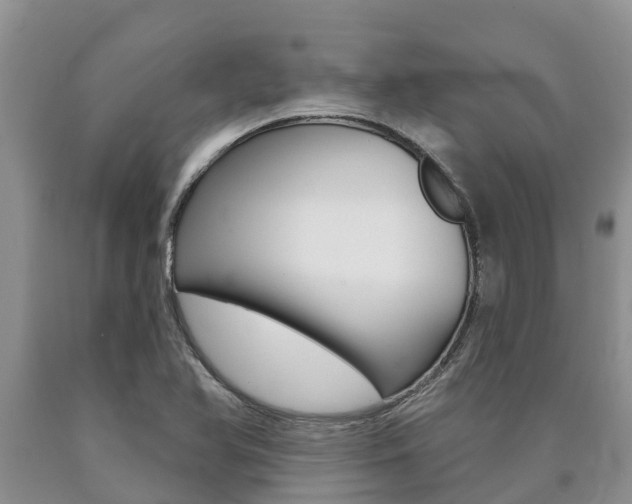 X0000090771366200707201105