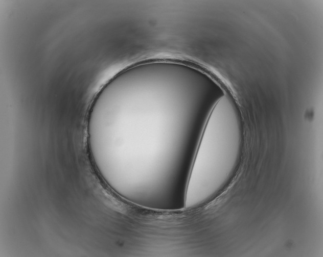 X0000090771367200707201105