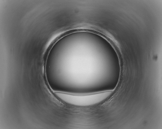 X0000090771368200707201105