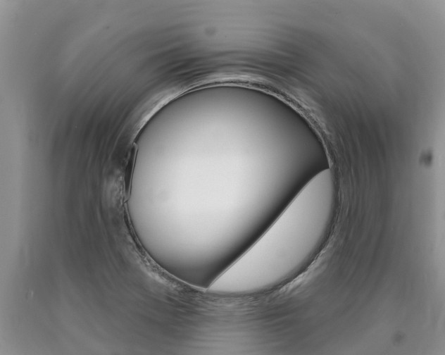 X0000090771369200707201105