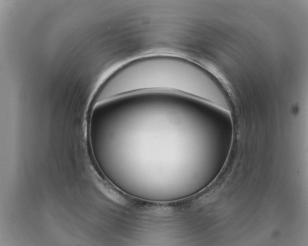 X0000090771372200707201105