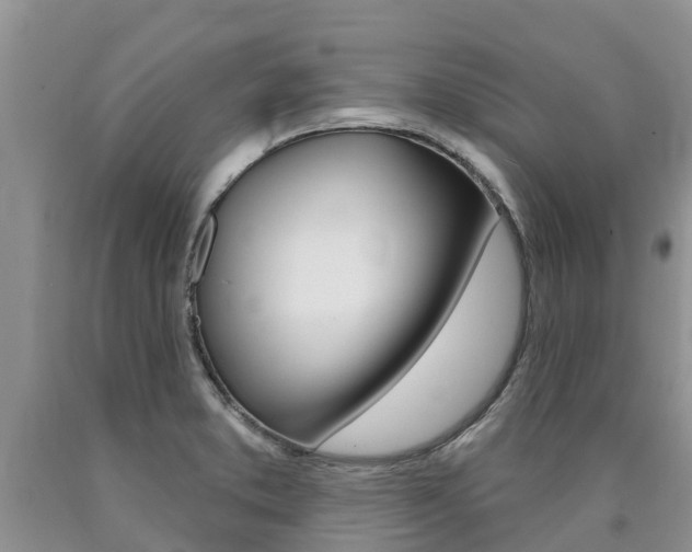 X0000090771373200707201105
