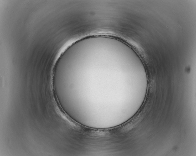 X0000090771374200707201105