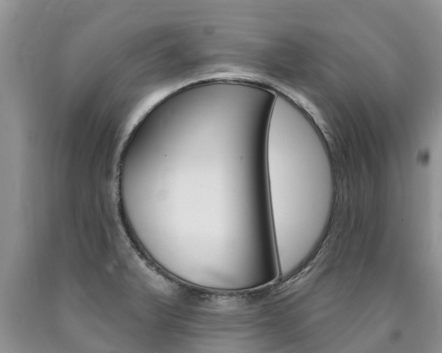 X0000090771375200707201105