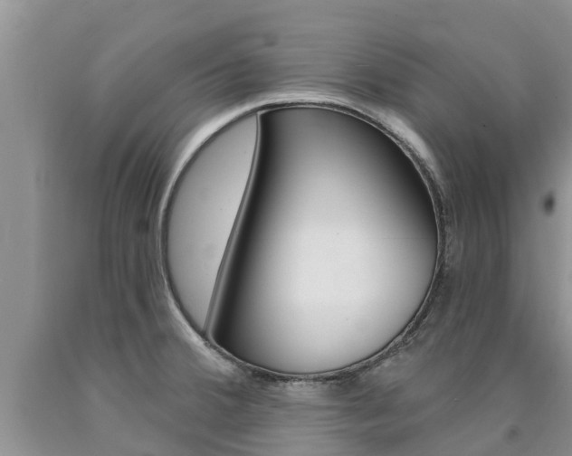 X0000090771380200707201105