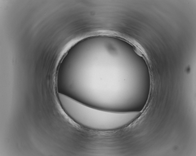X0000090771381200707201105