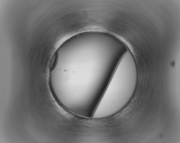 X0000090771383200707201105