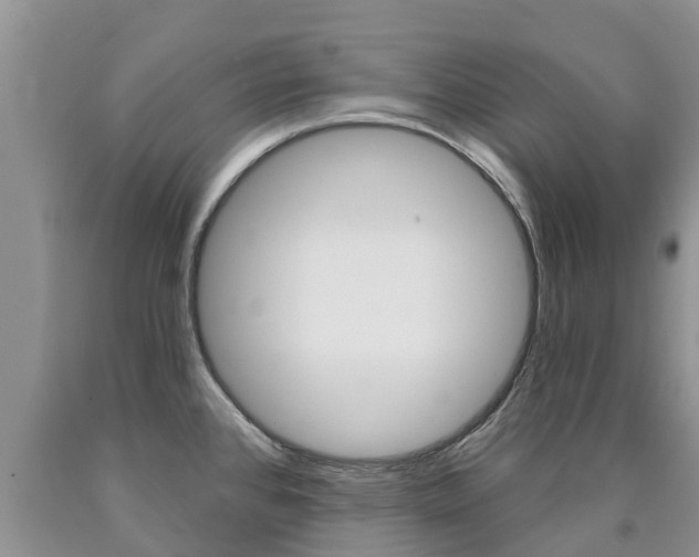X0000090771384200707201105