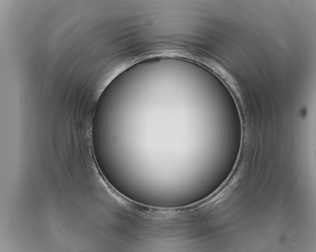 X0000090771385200707201105
