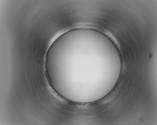 X0000090771386200707201105