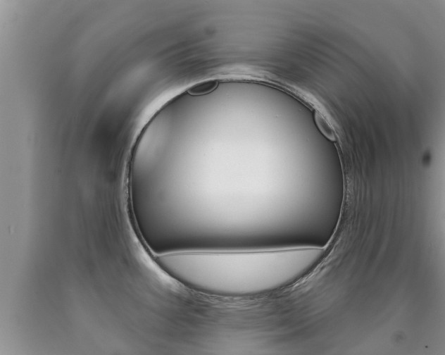 X0000090771387200707201105