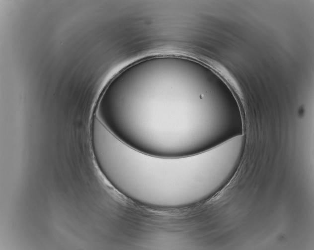 X0000090771388200707201105