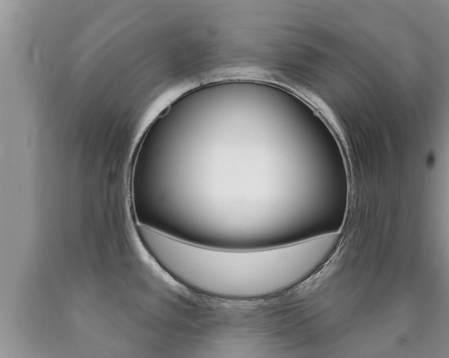 X0000090771389200707201105