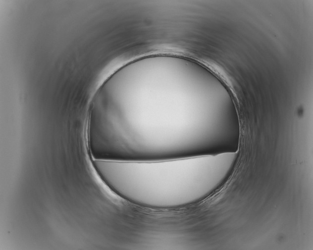 X0000090771391200707201105