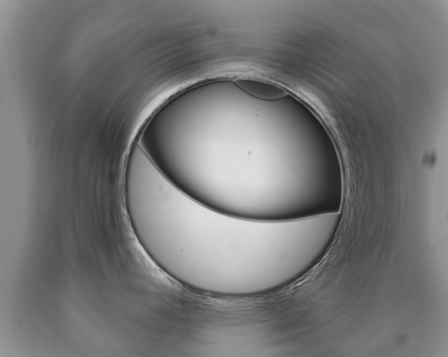 X0000090771392200707201105