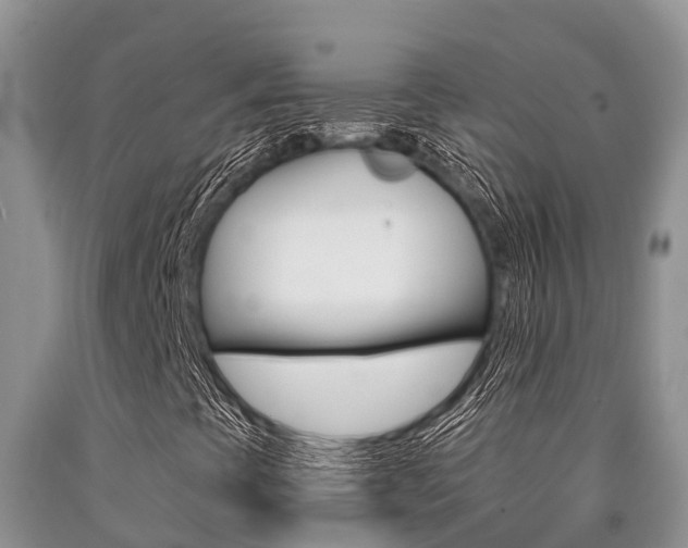X0000090771393200707201104
