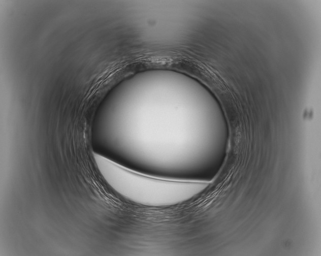 X0000090771394200707201104