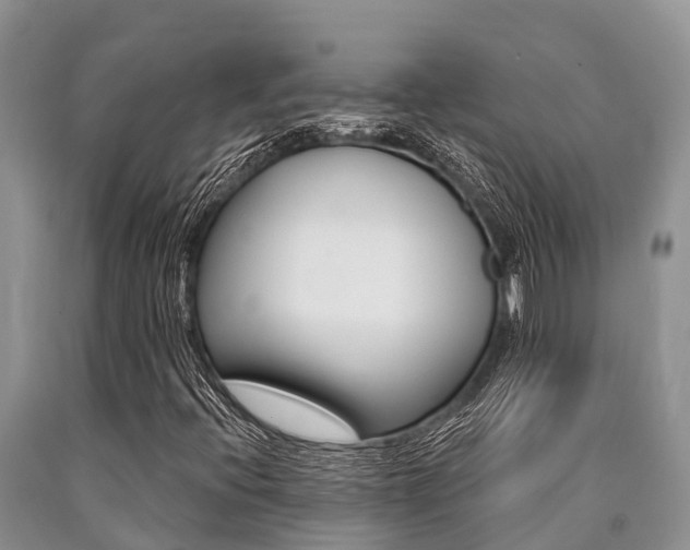 X0000090771396200707201104
