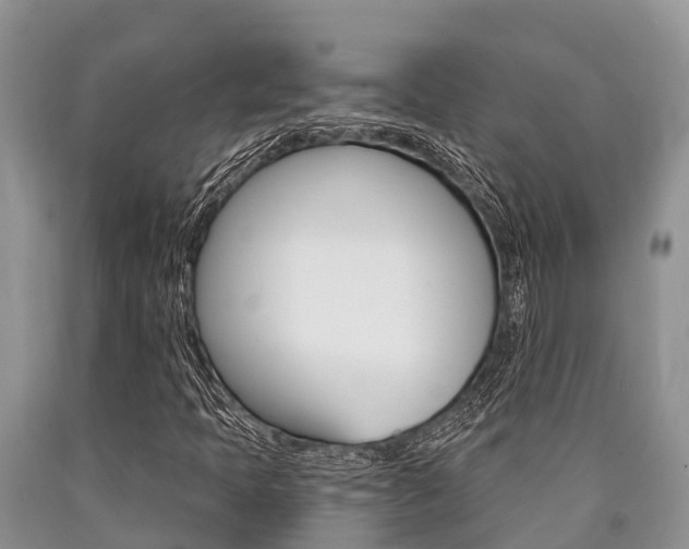 X0000090771397200707201104