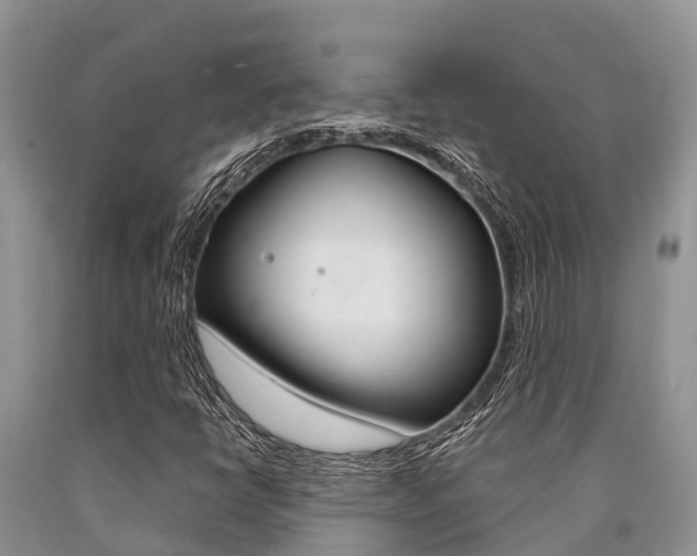 X0000090771398200707201104