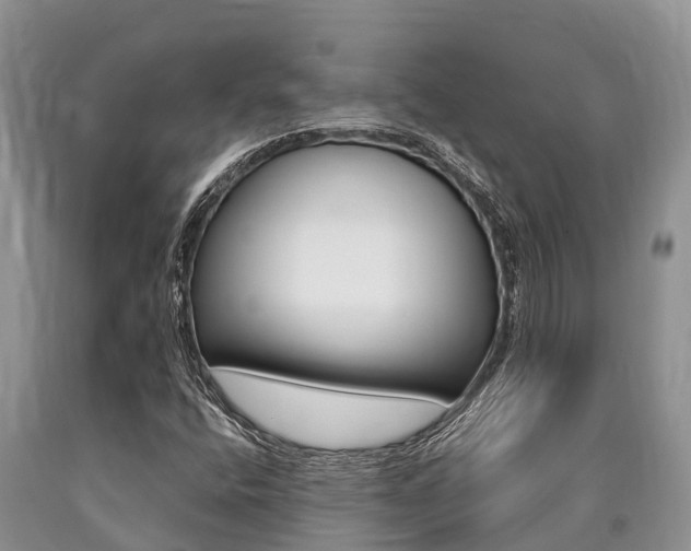 X0000090771400200707201104