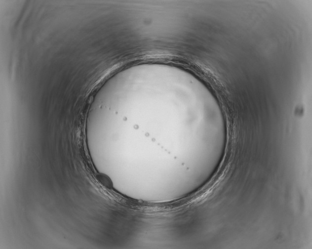 X0000090771401200707201104