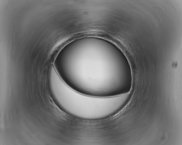 X0000090771402200707201104