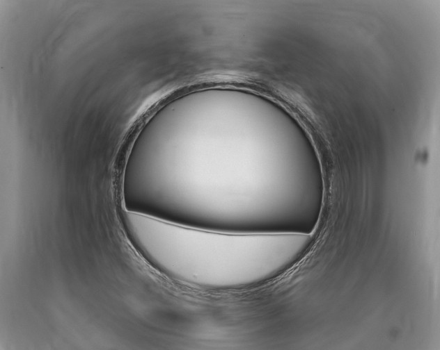 X0000090771404200707201104