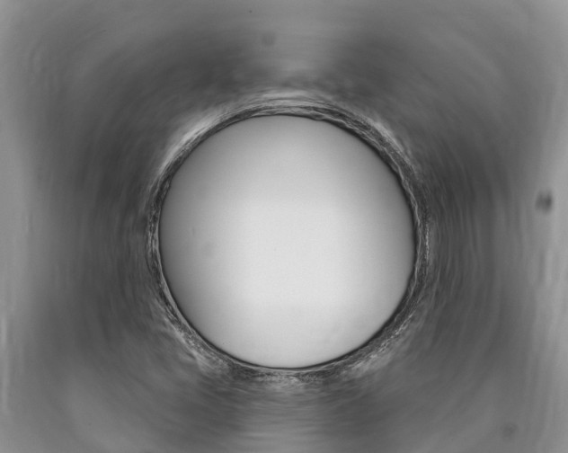 X0000090771405200707201104