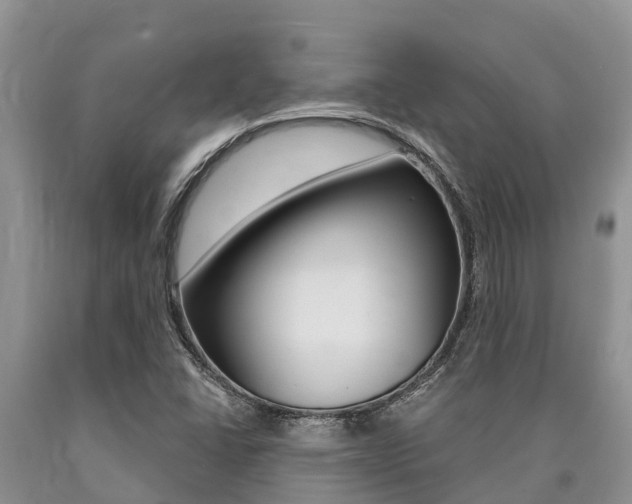 X0000090771406200707201104