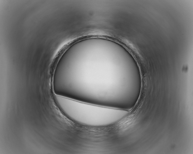 X0000090771408200707201104