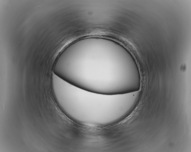 X0000090771409200707201105