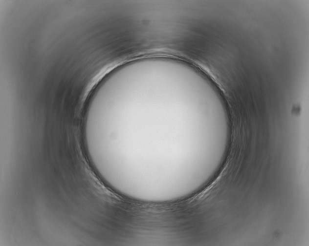 X0000090771410200707201105