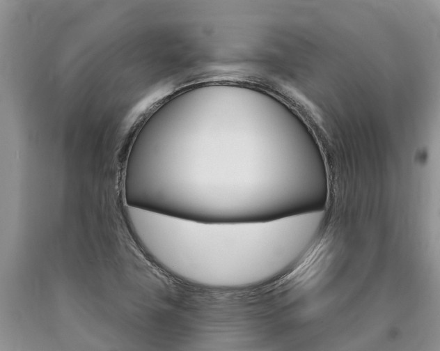X0000090771411200707201105