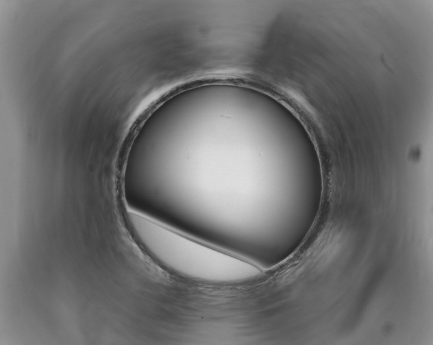 X0000090771412200707201105