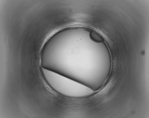 X0000090771413200707201105
