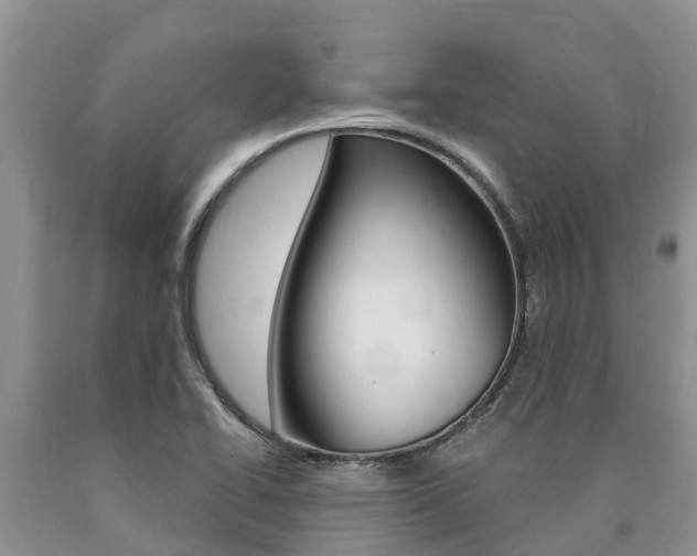 X0000090771414200707201105