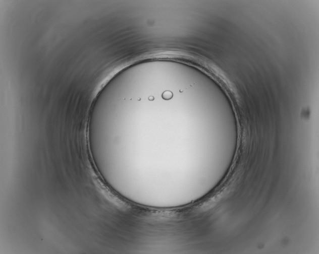 X0000090771417200707201105