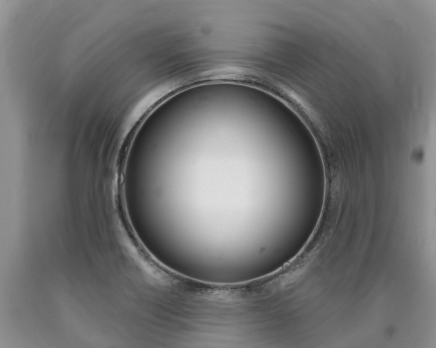 X0000090771418200707201105