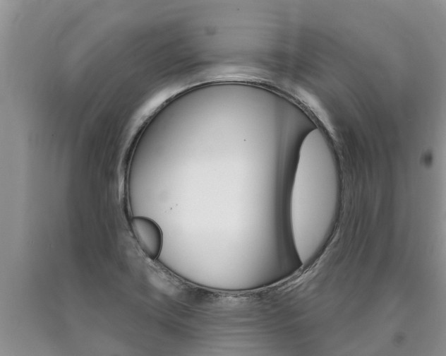 X0000090771419200707201105
